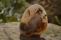 Polished Dendritic Agate Standing Free Forms  x 6 From Moralambo, Madagascar