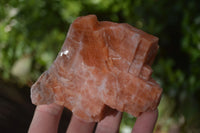 Natural New Sunset Orange Calcite Specimens  x 12 From Spitzkop, Namibia