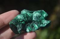 Natural Chatoyant Silky Malachite Specimens  x 12 From Kasompe, Congo - Toprock Gemstones and Minerals 