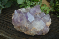 Natural Jacaranda Amethyst Cluster x 1 From Mumbwa, Zambia - TopRock