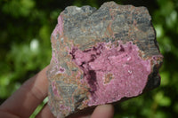 Natural Pink Salrose Cobaltion Dolomite Specimens  x 3 From Kakanda, Congo