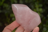 Polished Pink Rose Quartz Flame Sculptures x 6 From Antsirabe, Madagascar