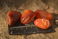 Polished  Carnelian Agate Tumble Stones  x 1 Kg Lot From Madagascar