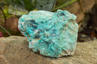 Natural Rough Blue Shattuckite Specimens  x 4 From Namibia - TopRock