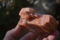 Natural New Sunset Orange Calcite Specimens  x 12 From Spitzkop, Namibia