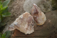 Natural Red Hematoid Quartz Specimens x 12 From Karoi, Zimbabwe - TopRock