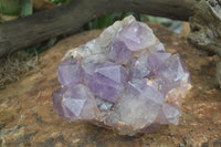 Natural Jacaranda Amethyst Cluster x 1 From Mumbwa, Zambia - TopRock