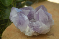 Natural Jacaranda Amethyst Clusters x 2 From Mumbwa, Zambia - TopRock