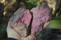 Natural Pink Salrose Cobaltion Dolomite Specimens  x 3 From Kakanda, Congo