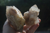 Natural Cascading White Phantom Crystal Clusters  x 6 From Luena, Congo - Toprock Gemstones and Minerals 