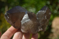 Natural Large Smokey Quartz Crystals  x 4 From Mulanje, Malawi - Toprock Gemstones and Minerals 