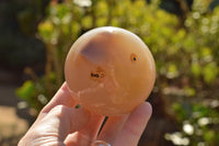 Polished Stunning Selection Of Banded Agate Spheres  x 5 From Madagascar - TopRock