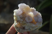 Natural Mixed Spirit Quartz Clusters  x 12 From Boekenhouthoek, South Africa - Toprock Gemstones and Minerals 