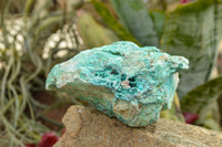 Natural Rough Blue Shattuckite Specimens  x 4 From Namibia - TopRock