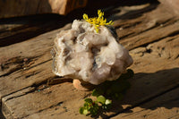 Natural Dog Tooth Calcite On Drusy Quartz Specimen x 1 From Albert's Mountain, Lesotho - TopRock