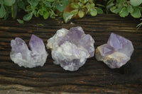 Natural Jacaranda Amethyst Clusters  x 3 From Mumbwa, Zambia - Toprock Gemstones and Minerals 