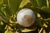 Polished Stunning Selection Of Banded Agate Spheres  x 5 From Madagascar - TopRock