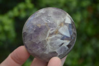 Polished Smokey Dream Amethyst Palm Stones  x 12 From Madagascar - Toprock Gemstones and Minerals 