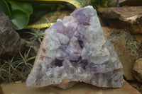 Natural Jacaranda Amethyst Cluster x 1 From Mumbwa, Zambia - TopRock