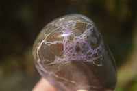 Polished Stichtite & Serpentine Standing Free Forms With Silky Purple Threads  x 3 From Barberton, South Africa - Toprock Gemstones and Minerals 