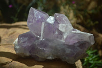 Natural Jacaranda Amethyst Clusters x 2 From Mumbwa, Zambia - TopRock