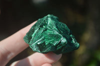 Natural Chatoyant Silky Malachite Specimens  x 12 From Kasompe, Congo - Toprock Gemstones and Minerals 