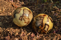 Polished Septerye (Calcite & Aragonite) Spheres x 5 From Mahajanga, Madagascar - TopRock