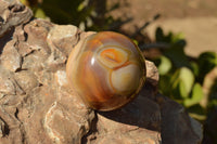 Polished Stunning Selection Of Banded Agate Spheres  x 5 From Madagascar - TopRock