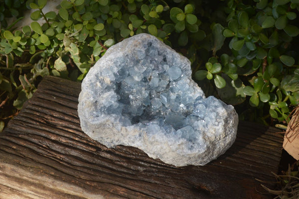 Natural Large Blue Celestite Geode Specimen  x 1 From Sakoany, Madagascar