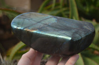 Polished Labradorite Standing Free Form With Intense Blue & Gold Flash x 1 From Tulear, Madagascar - TopRock