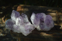 Natural Jacaranda Amethyst Clusters x 2 From Mumbwa, Zambia - TopRock