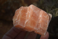 Natural New Sunset Orange Calcite Specimens  x 24 From Spitzkoppe, Namibia - Toprock Gemstones and Minerals 