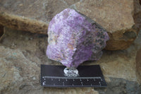 Natural Rough Stichtite & Serpentine Specimens x 5 From Barberton, South Africa