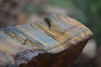 Natural Golden Blue Tigers Eye Specimens  x 2 From Prieska, South Africa - TopRock