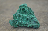 Natural Chatoyant Silky Malachite Specimens  x 12 From Kasompe, Congo - Toprock Gemstones and Minerals 