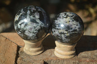 Polished Merlinite Gabbro Spheres  x 4 From Madagascar - Toprock Gemstones and Minerals 