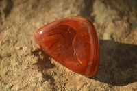 Polished  Carnelian Agate Tumble Stones  x 1 Kg Lot From Madagascar