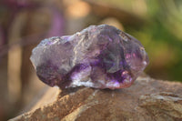 Natural Window Amethyst Crystal Specimens  x 12 From Chiredzi, Zimbabwe