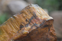 Natural Golden Blue Tigers Eye Specimens  x 2 From Prieska, South Africa - TopRock