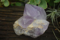 Natural Jacaranda Amethyst Clusters  x 3 From Mumbwa, Zambia - Toprock Gemstones and Minerals 