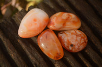 Polished  Carnelian Agate Tumble Stones  x 1 Kg Lot From Madagascar