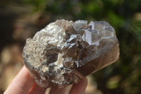 Natural Large Smokey Quartz Crystals  x 4 From Mulanje, Malawi - Toprock Gemstones and Minerals 