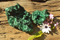 Natural Chatoyant Silky Malachite Specimens  x 2 From Kasompe, Congo - TopRock