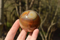 Polished Stunning Selection Of Banded Agate Spheres  x 5 From Madagascar - TopRock