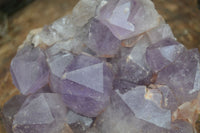 Natural Jacaranda Amethyst Cluster x 1 From Mumbwa, Zambia - TopRock