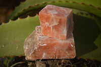 Natural New Sunset Orange Calcite Specimens  x 24 From Spitzkoppe, Namibia - Toprock Gemstones and Minerals 