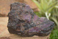 Natural XXX Rare Sugilite Rough Specimens  x 7 From Zambia - TopRock