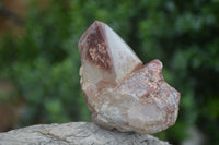 Natural Red Hematite Quartz Crystals  x 6 From Karoi, Zimbabwe - TopRock