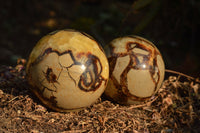 Polished Septerye (Calcite & Aragonite) Spheres x 5 From Mahajanga, Madagascar - TopRock