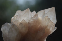 Natural Cascading White Phantom Crystal Clusters  x 6 From Luena, Congo - Toprock Gemstones and Minerals 